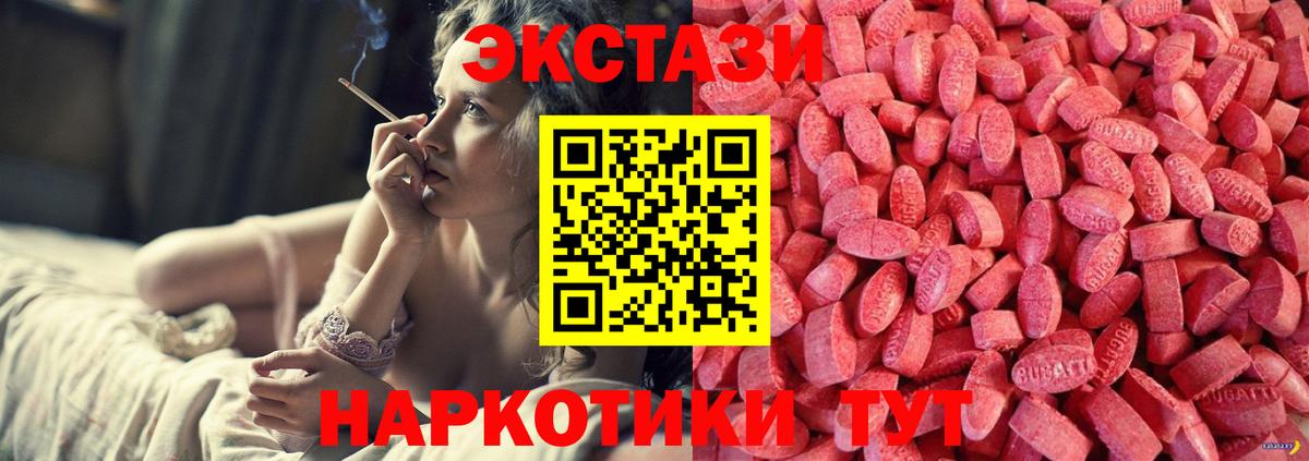 Ecstasy диски  Ecstasy 99%  Экстази  Новозыбков  Вход с VPN 