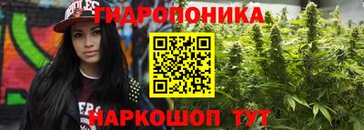 амф Тверь