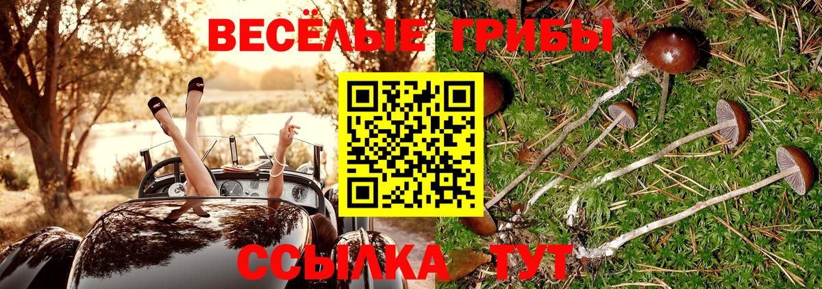 Псилоцибиновые грибы ЛСД  Псилоцибиновые грибы GOLDEN TEACHER  Новозыбков  Вход с VPN 